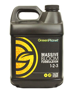 GP MASSIVE, 10 LT